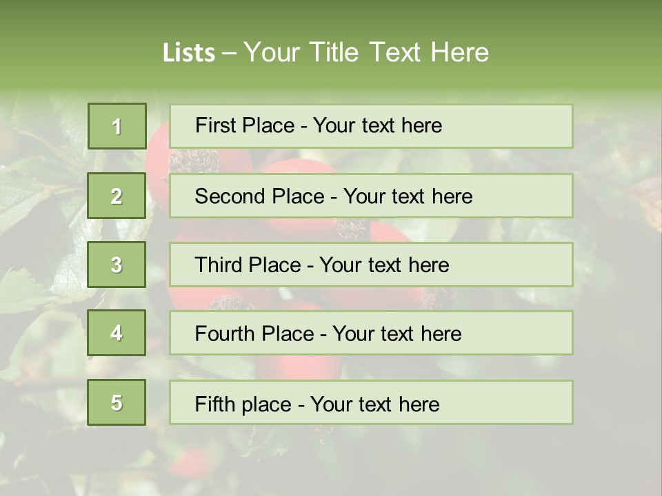 Giving Closeup Rosehip PowerPoint Template