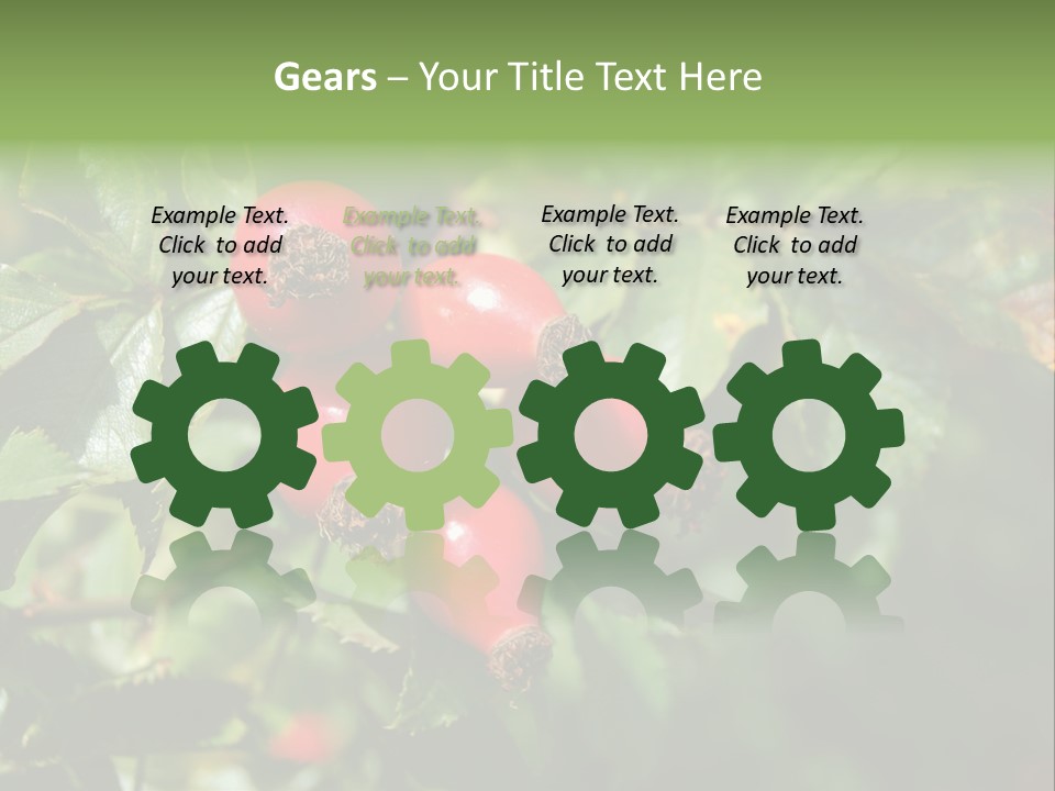 Giving Closeup Rosehip PowerPoint Template