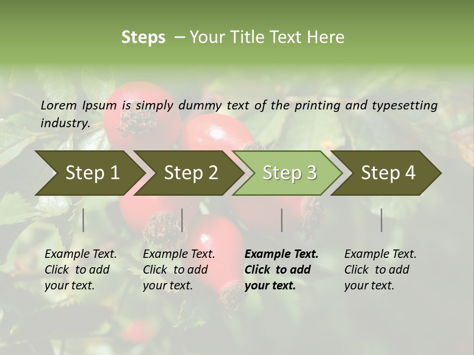 Giving Closeup Rosehip PowerPoint Template