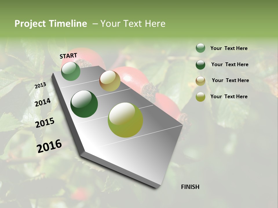 Giving Closeup Rosehip PowerPoint Template