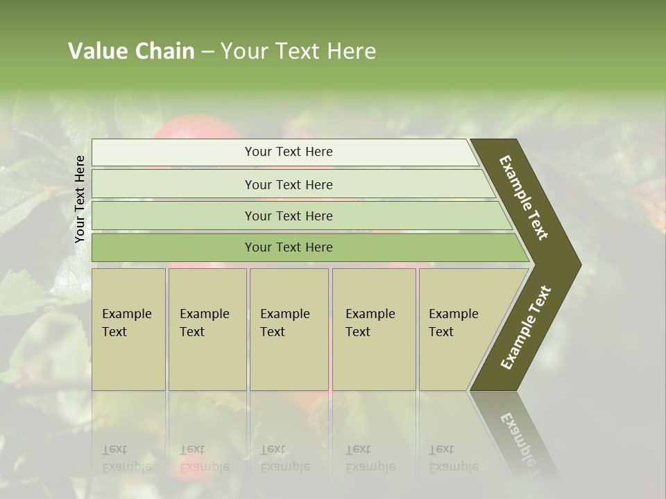 Giving Closeup Rosehip PowerPoint Template