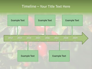 Giving Closeup Rosehip PowerPoint Template
