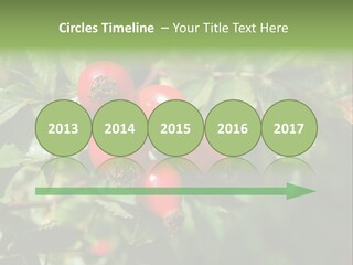 Giving Closeup Rosehip PowerPoint Template