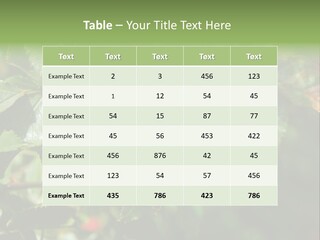 Giving Closeup Rosehip PowerPoint Template