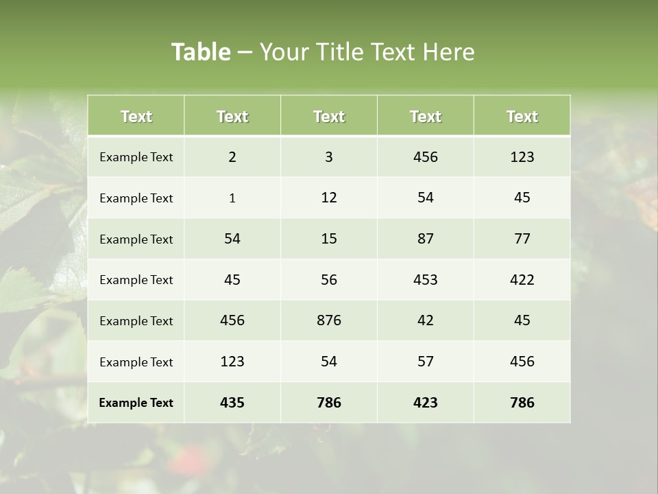 Giving Closeup Rosehip PowerPoint Template