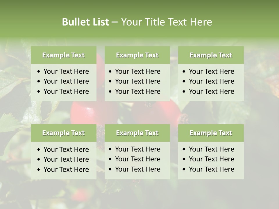 Giving Closeup Rosehip PowerPoint Template
