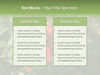 Giving Closeup Rosehip PowerPoint Template