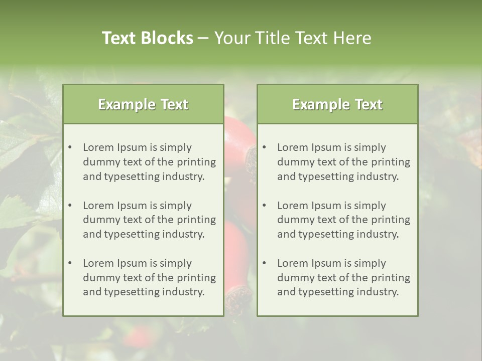 Giving Closeup Rosehip PowerPoint Template