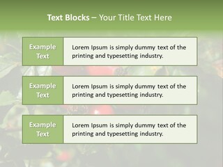Giving Closeup Rosehip PowerPoint Template