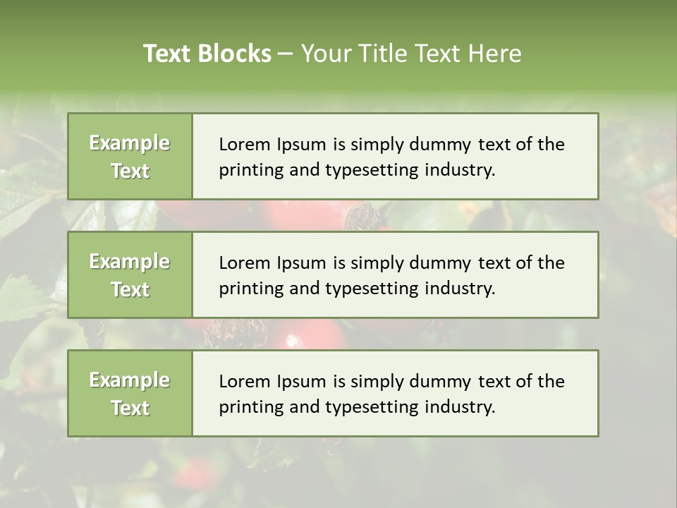 Giving Closeup Rosehip PowerPoint Template