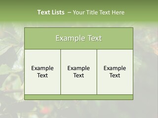 Giving Closeup Rosehip PowerPoint Template