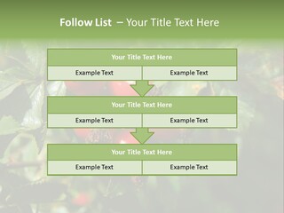 Giving Closeup Rosehip PowerPoint Template