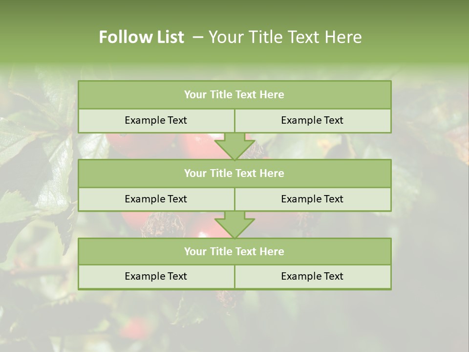 Giving Closeup Rosehip PowerPoint Template