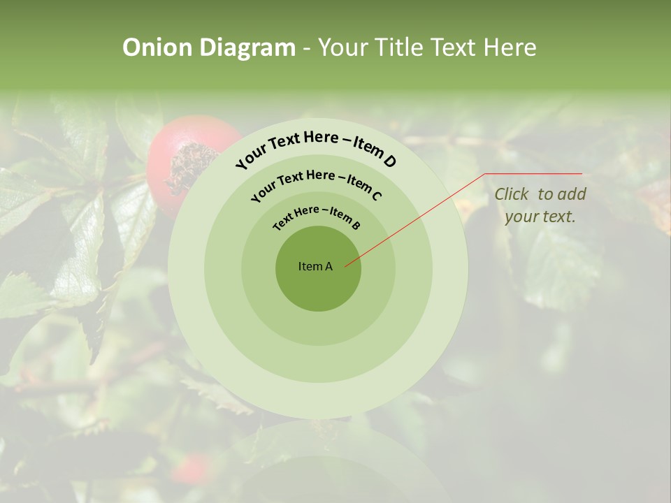 Giving Closeup Rosehip PowerPoint Template