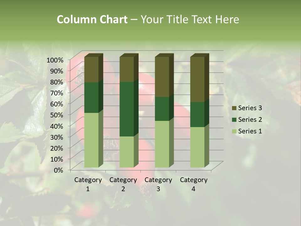 Giving Closeup Rosehip PowerPoint Template