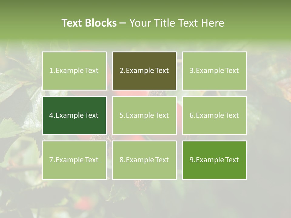 Giving Closeup Rosehip PowerPoint Template