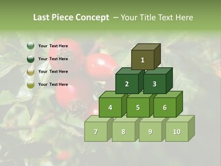 Giving Closeup Rosehip PowerPoint Template