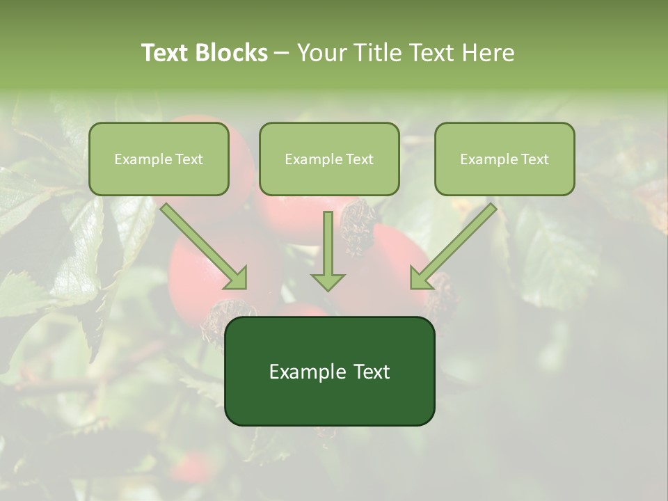 Giving Closeup Rosehip PowerPoint Template
