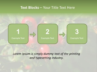 Giving Closeup Rosehip PowerPoint Template