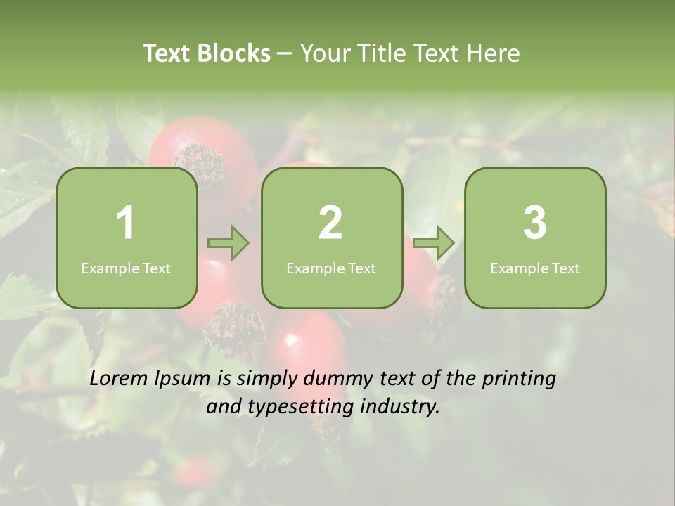 Giving Closeup Rosehip PowerPoint Template