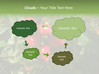 Giving Closeup Rosehip PowerPoint Template