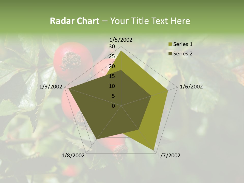 Giving Closeup Rosehip PowerPoint Template