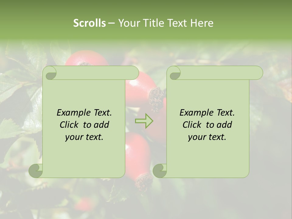 Giving Closeup Rosehip PowerPoint Template