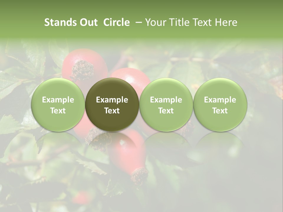 Giving Closeup Rosehip PowerPoint Template