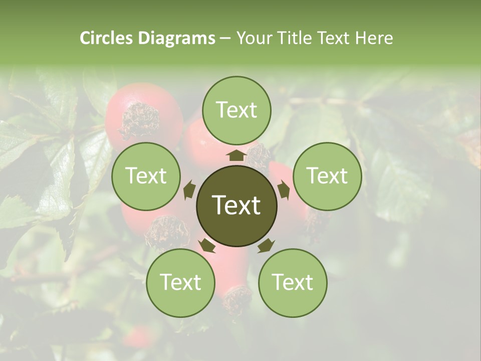 Giving Closeup Rosehip PowerPoint Template