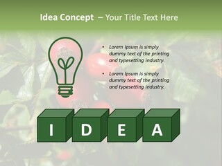 Giving Closeup Rosehip PowerPoint Template