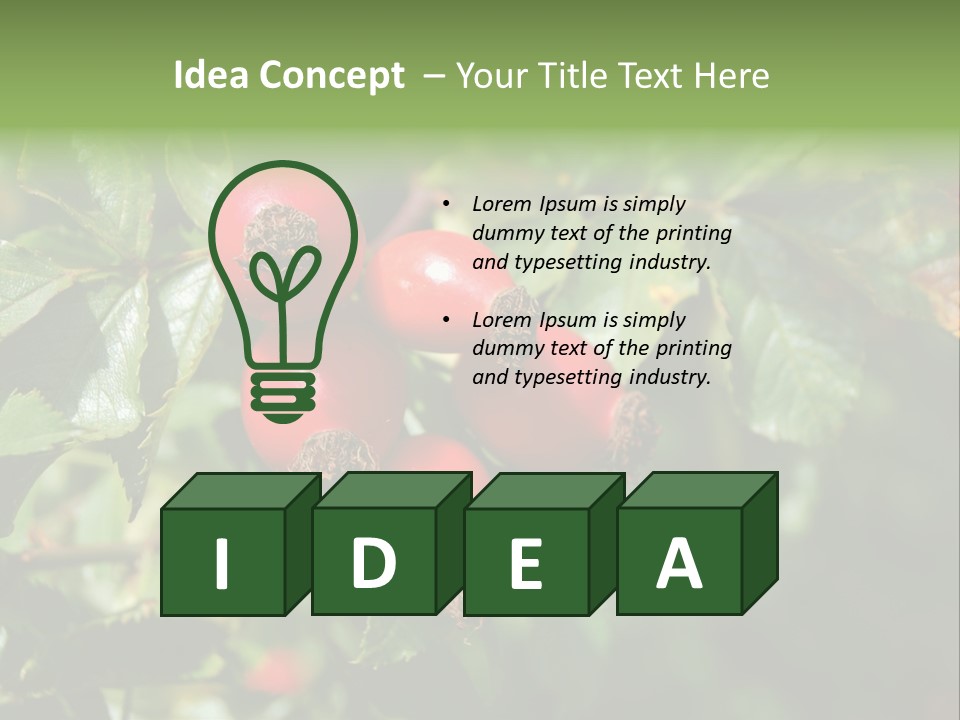 Giving Closeup Rosehip PowerPoint Template