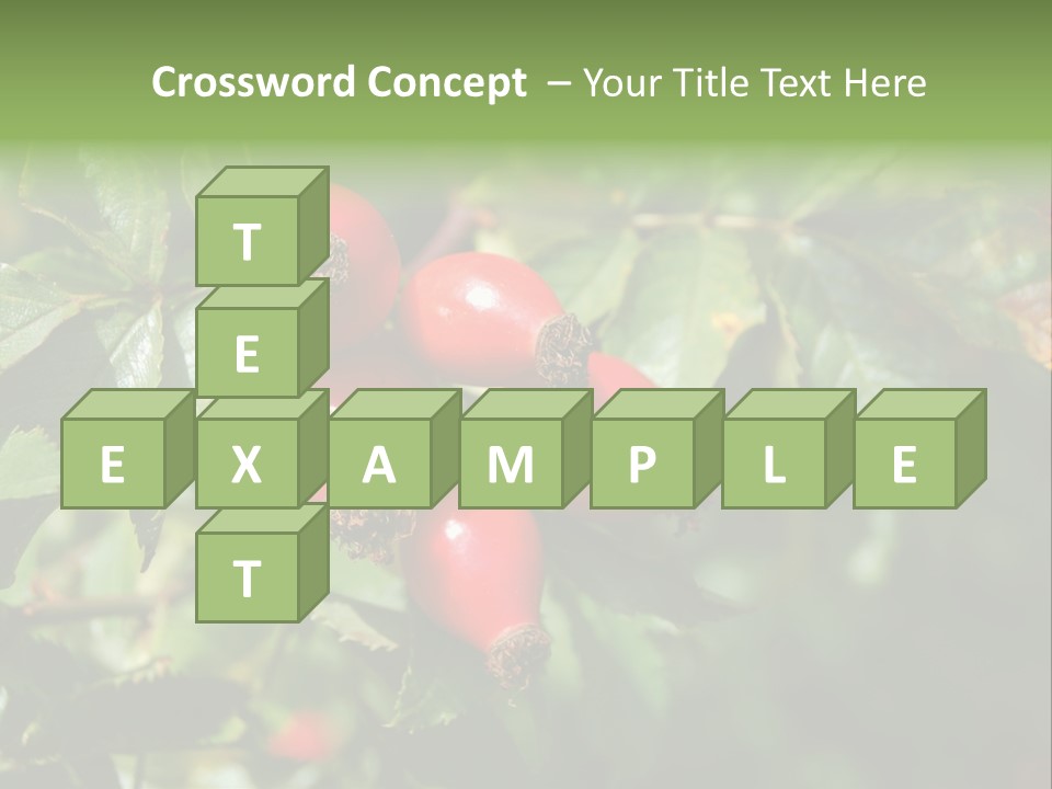 Giving Closeup Rosehip PowerPoint Template