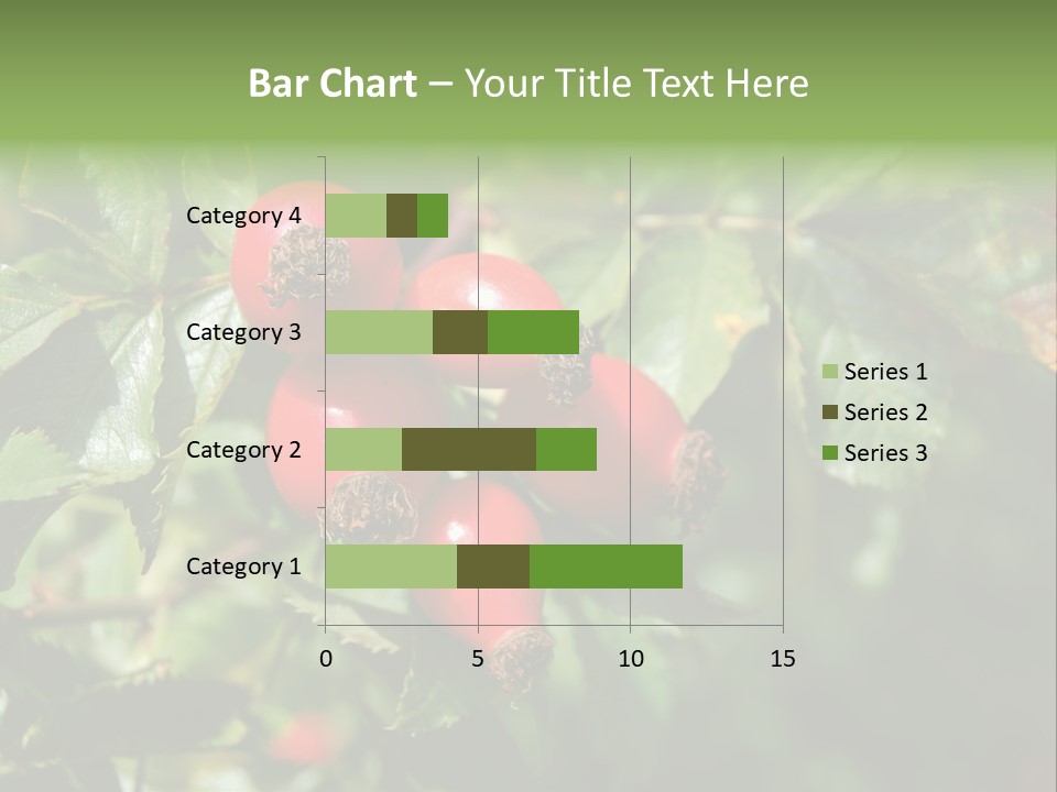 Giving Closeup Rosehip PowerPoint Template