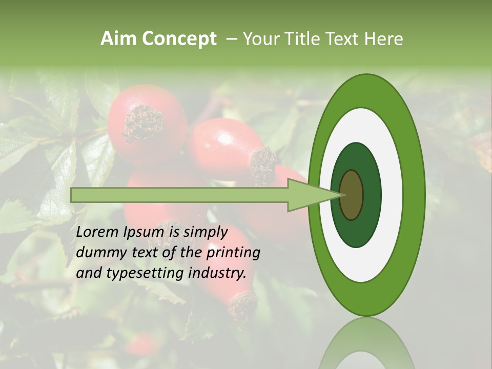 Giving Closeup Rosehip PowerPoint Template