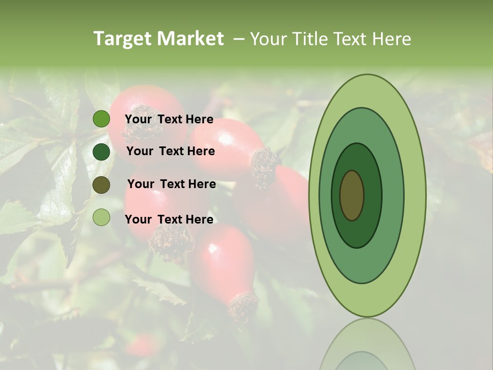 Giving Closeup Rosehip PowerPoint Template