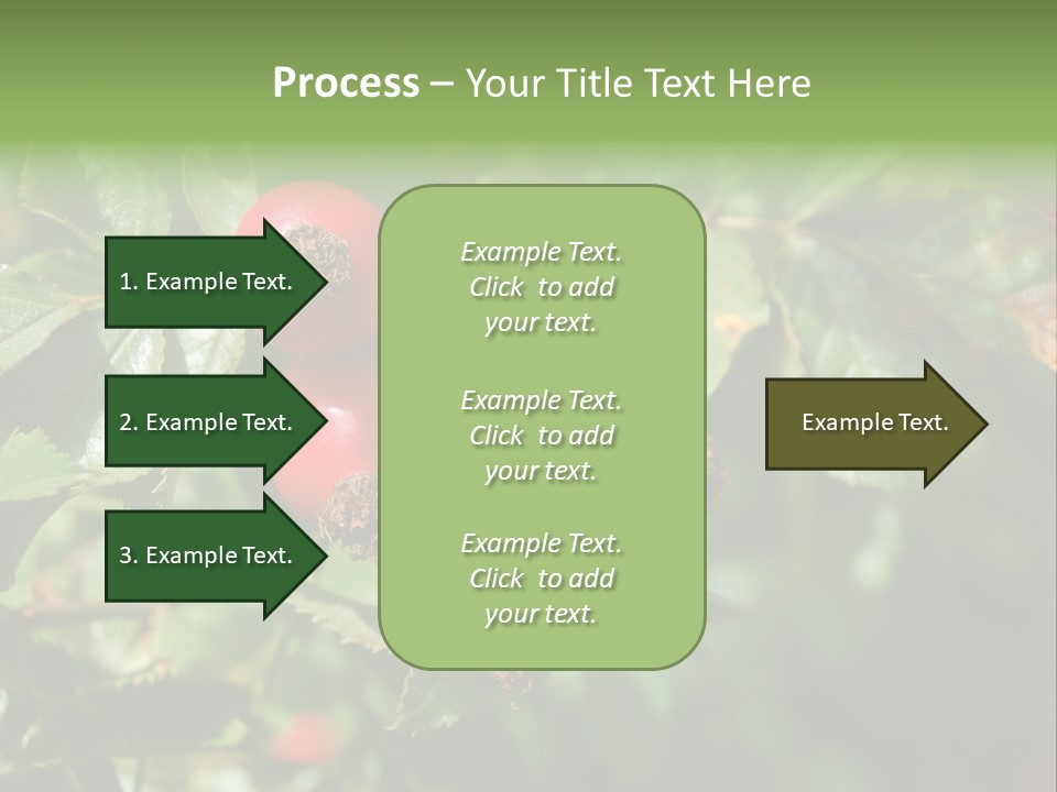 Giving Closeup Rosehip PowerPoint Template
