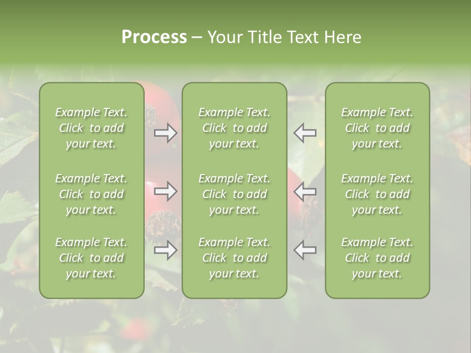 Giving Closeup Rosehip PowerPoint Template