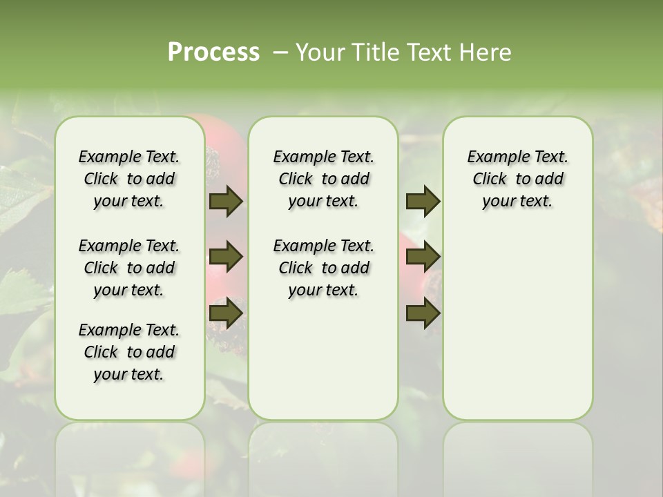 Giving Closeup Rosehip PowerPoint Template