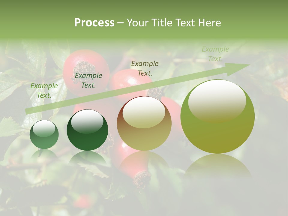 Giving Closeup Rosehip PowerPoint Template