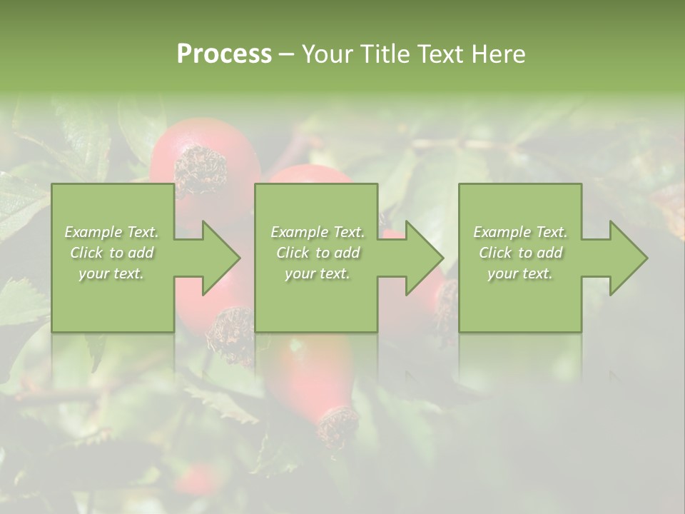 Giving Closeup Rosehip PowerPoint Template