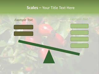 Giving Closeup Rosehip PowerPoint Template