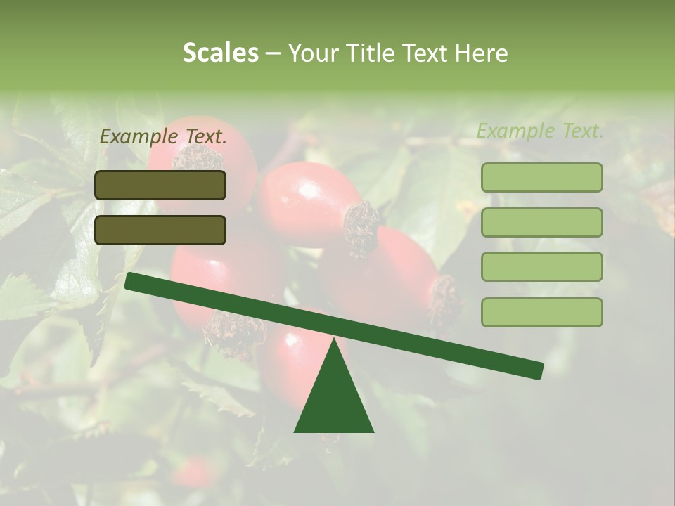 Giving Closeup Rosehip PowerPoint Template