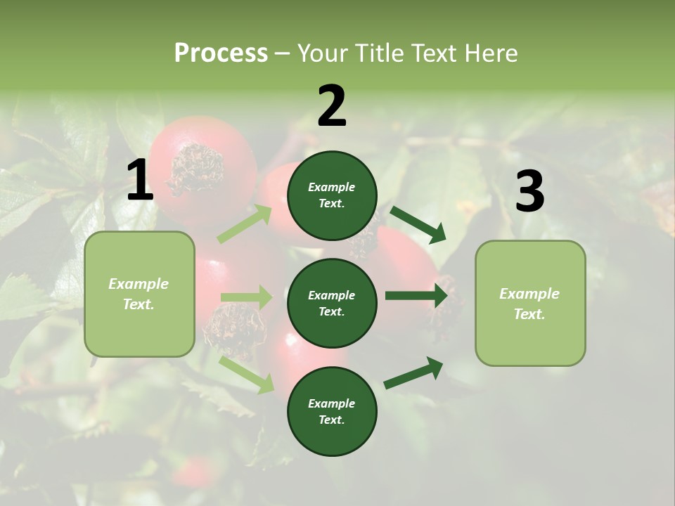 Giving Closeup Rosehip PowerPoint Template