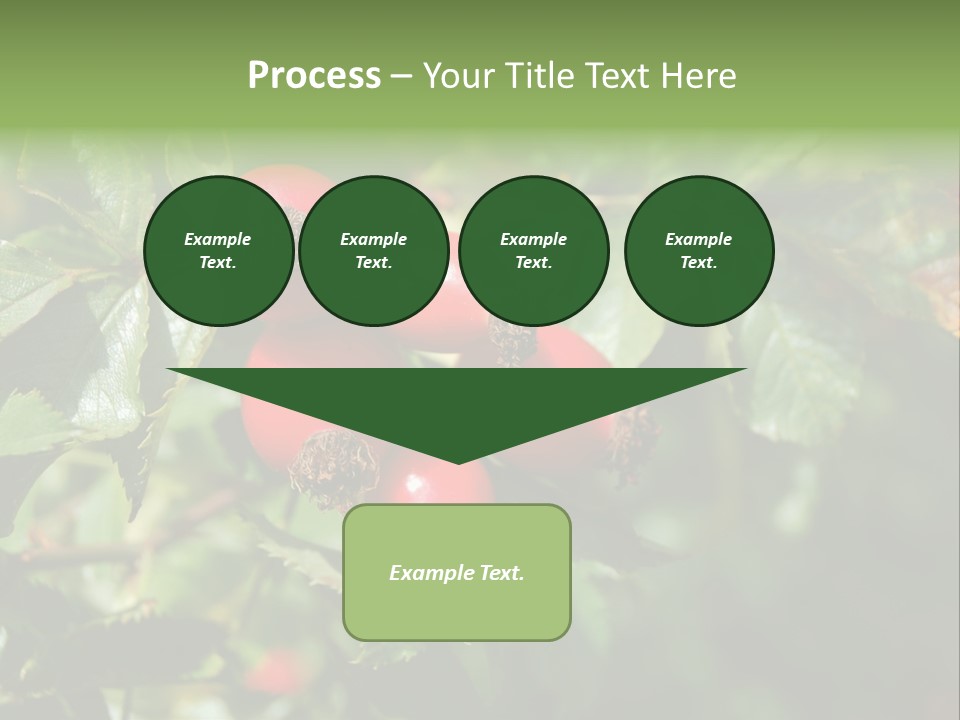 Giving Closeup Rosehip PowerPoint Template