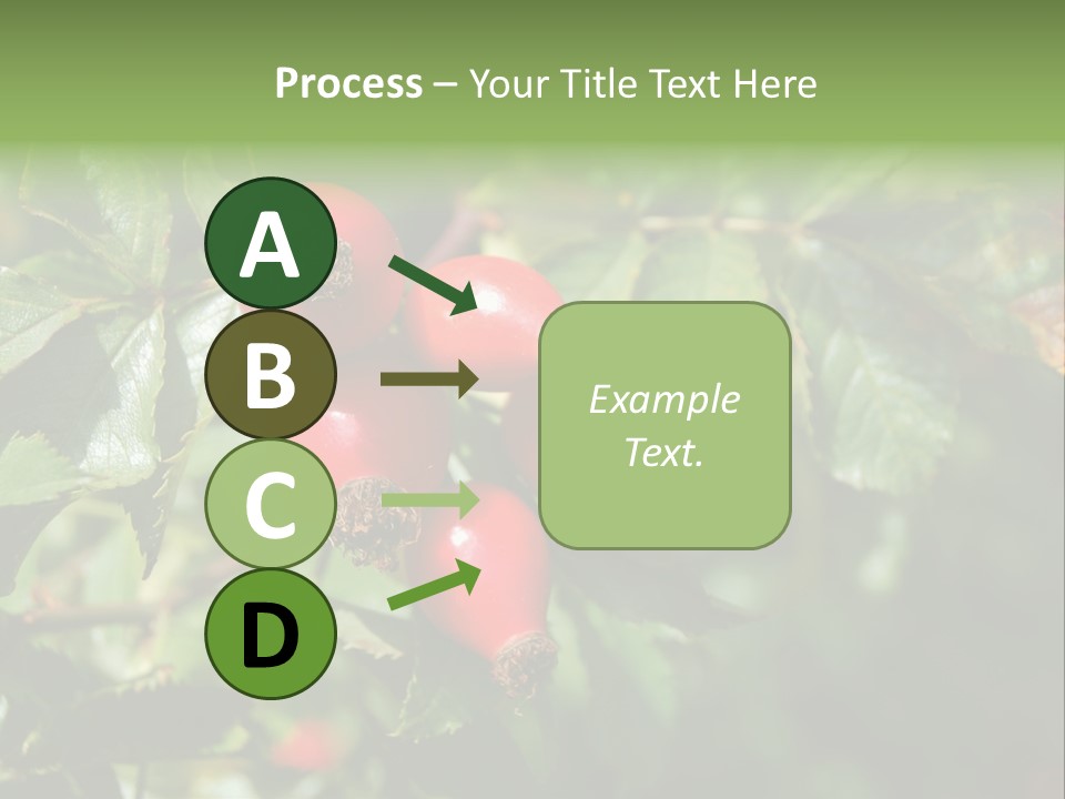 Giving Closeup Rosehip PowerPoint Template