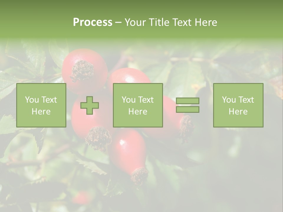 Giving Closeup Rosehip PowerPoint Template