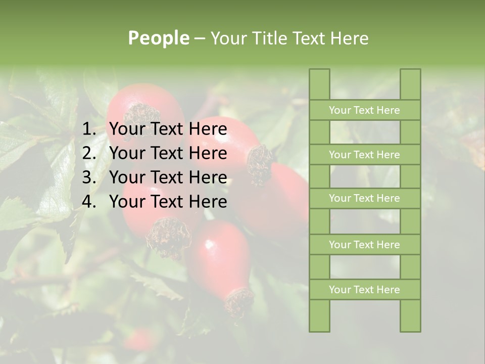 Giving Closeup Rosehip PowerPoint Template