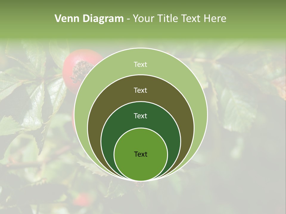 Giving Closeup Rosehip PowerPoint Template
