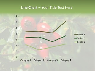Giving Closeup Rosehip PowerPoint Template