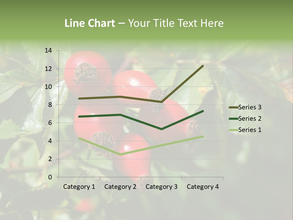 Giving Closeup Rosehip PowerPoint Template